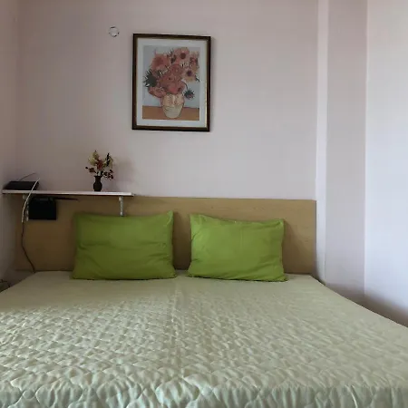 Domashniy Slăntjev Brjag