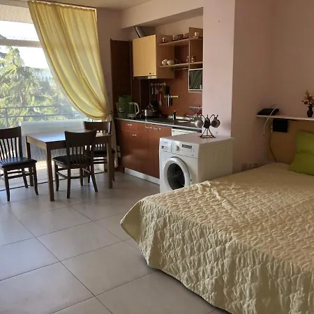 Domashniy Slăntjev Brjag